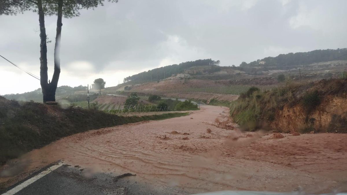 Imatge de la carretera afectada a Vila-rodona