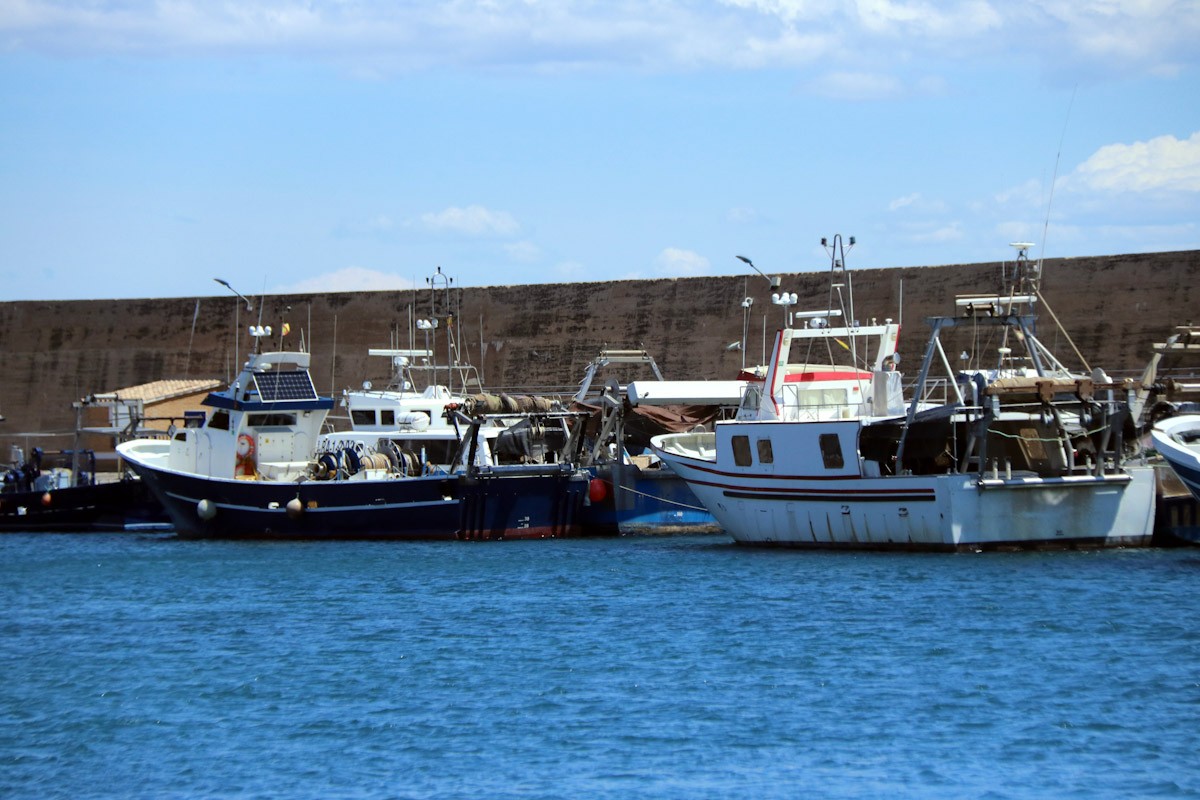 Barques de pesca d'arrossegament fondejades al moll del port pesquer de l'Ametlla de Mar amb motiu de la veda biològica 