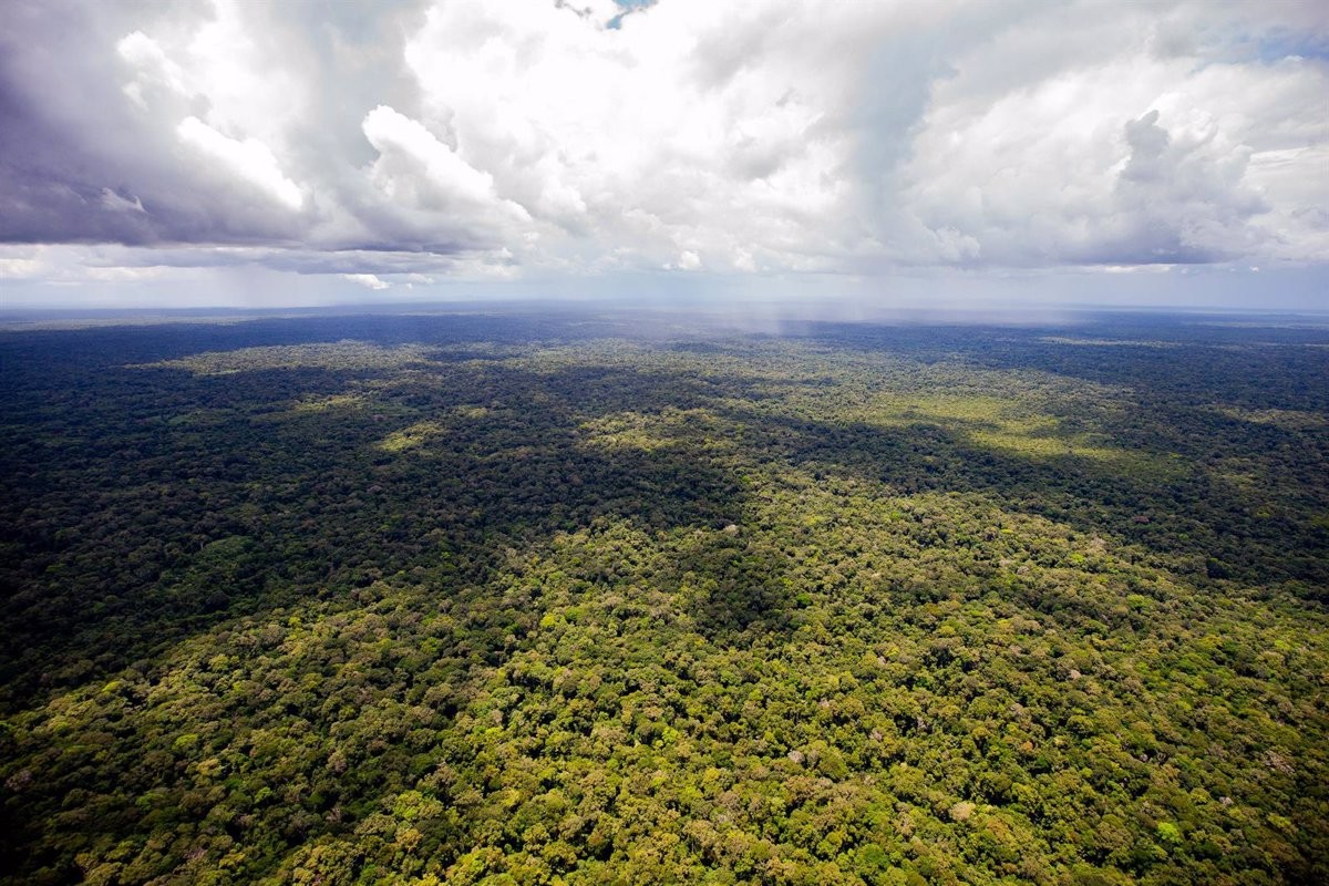 La selva colombiana de Caquetá, on havien desaparegut els nens