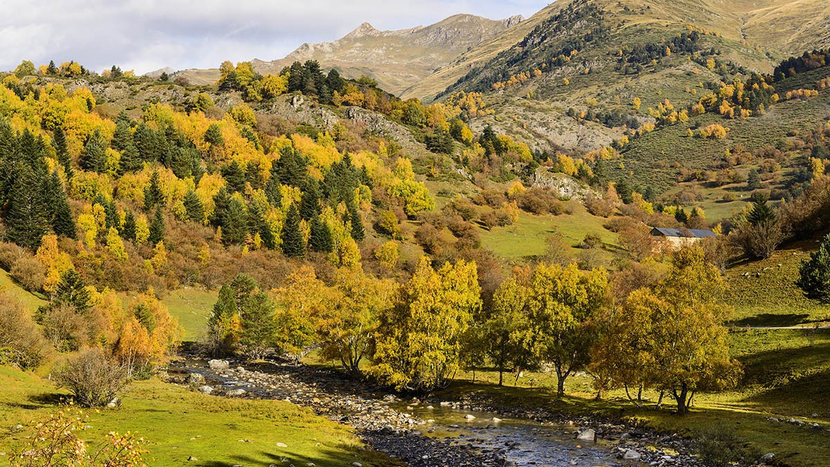 L'Alt Noguera Pallaresa és el riu més ben conservat de Catalunya