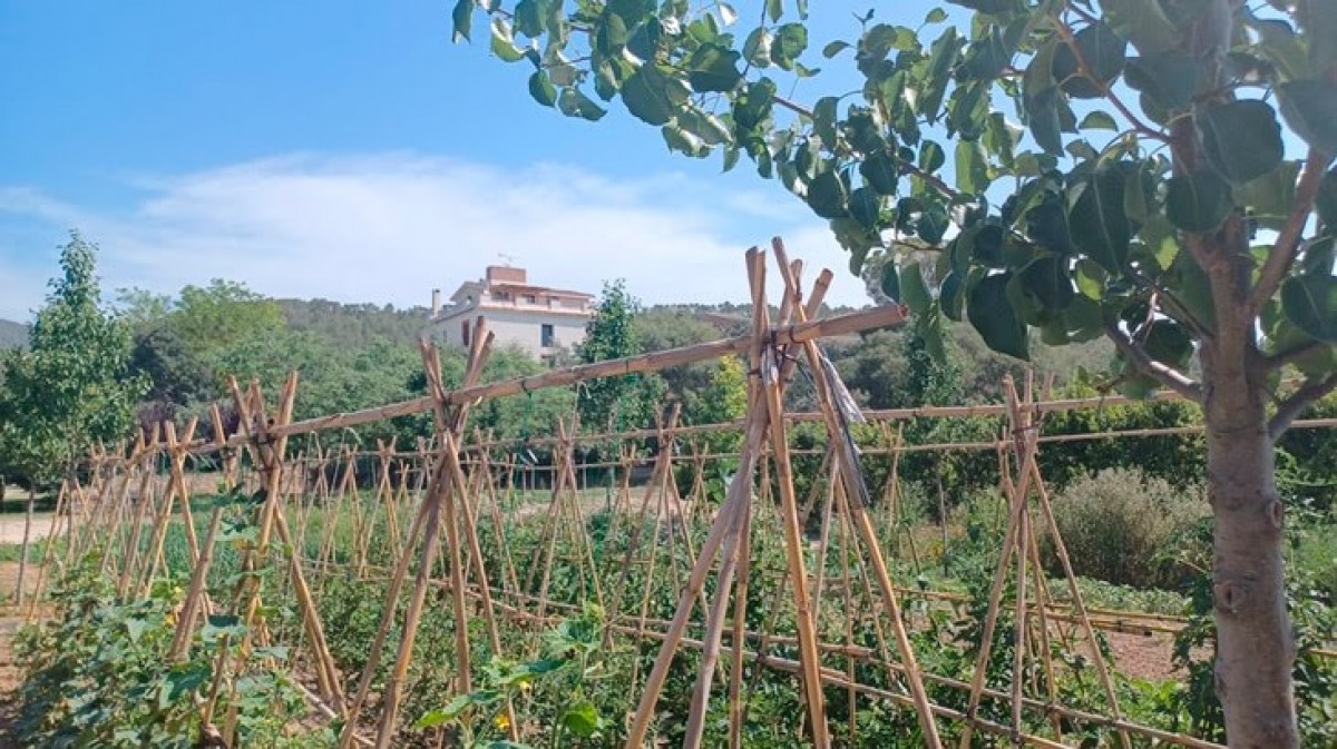 Plantacions i hotel rural d'Explotacions Agricoles Mas de Baix, a Tivissa 