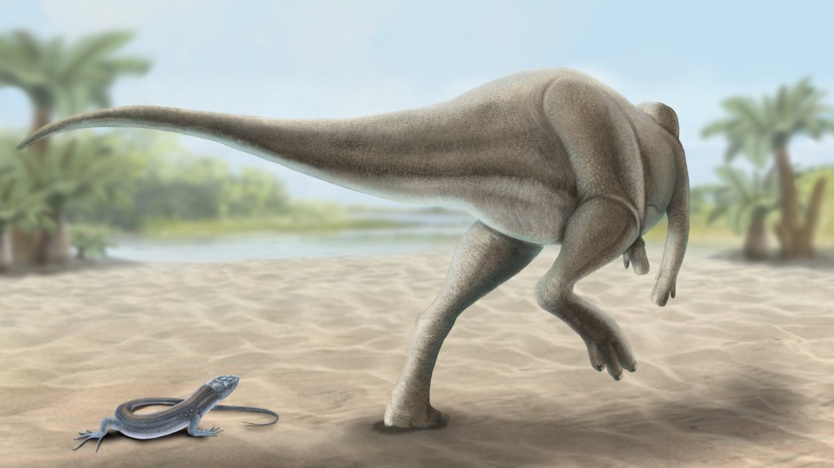 Recreació del dinosaure descobert al jaciment de la Masia de Ramon
