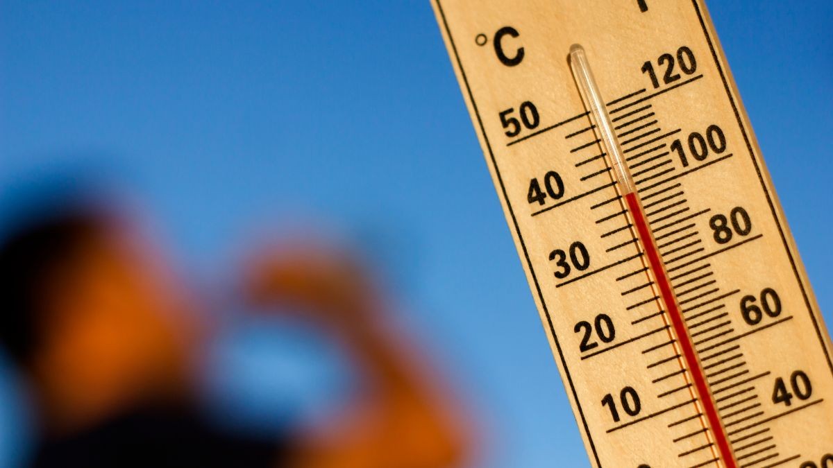 Rècord de calor a les Terres de l'Ebre.