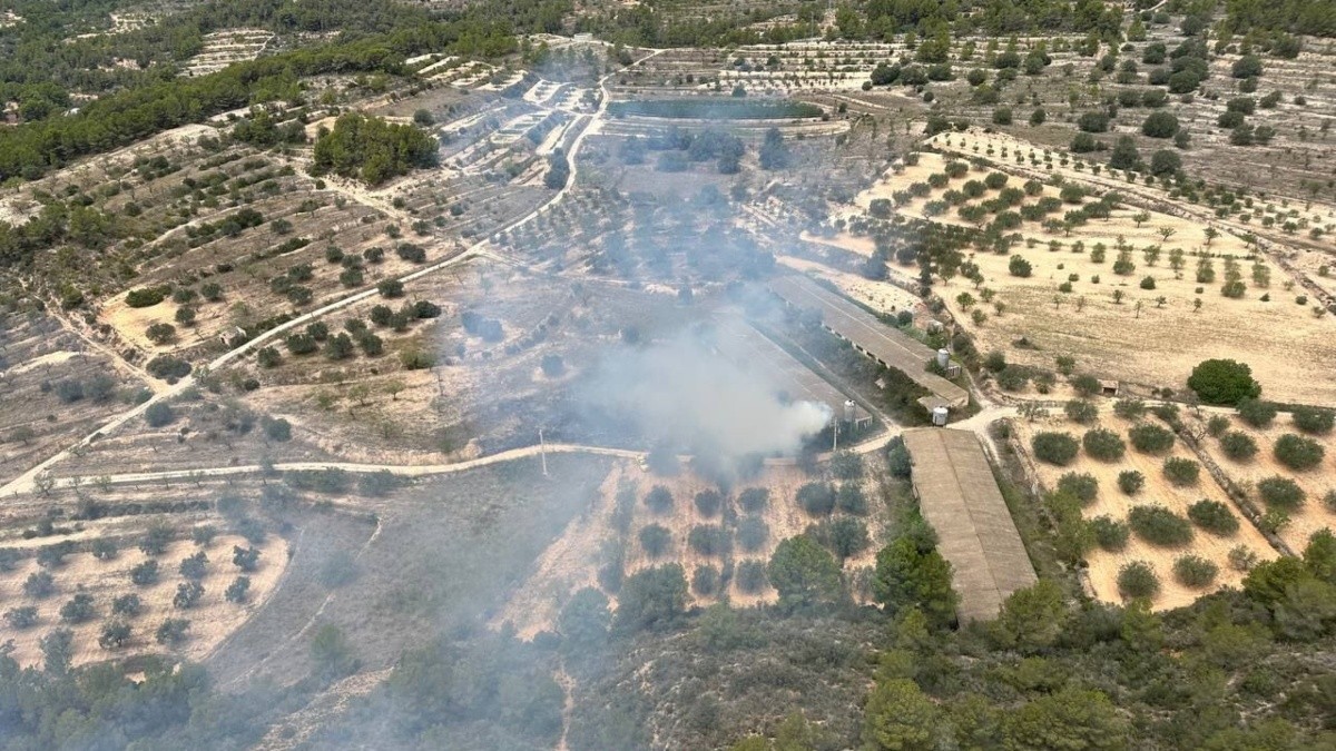 Imatge aèria de l'incendi forestal que crema a Pinell de Brai.