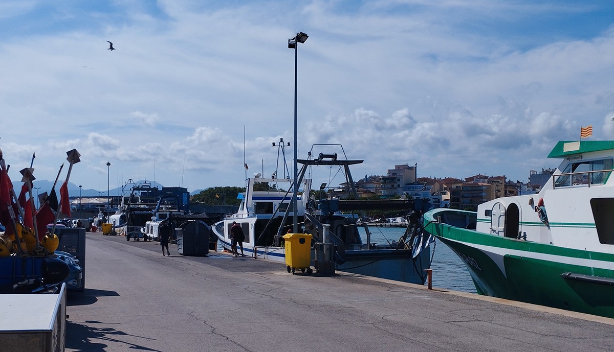 Barques pesqueres al port de Cambrils.