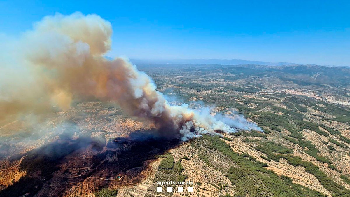 Imatge aèria de la fumerada de l'incendi del Perelló.
