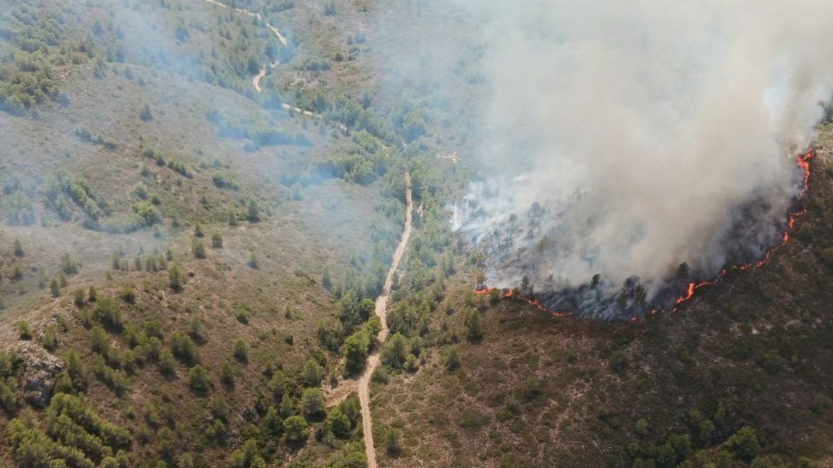 El segon incendi de Tivissa s'ha declarat a la zona de la Toa.