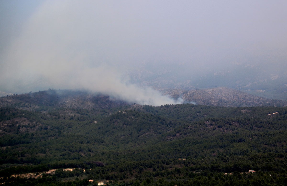 Columna de fum del segon incendi a Tivissa.