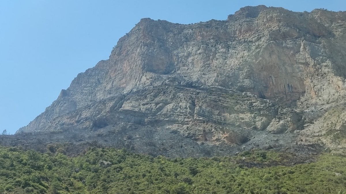Imatge de la zona del Montsec afectada per l'incendi forestal de l'any passat
