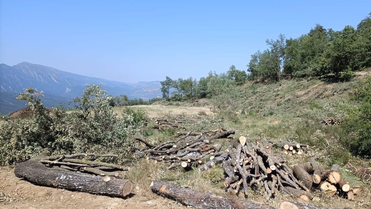 Imatge d'una de les rompudes de terreny sancionades al Pallars Jussà