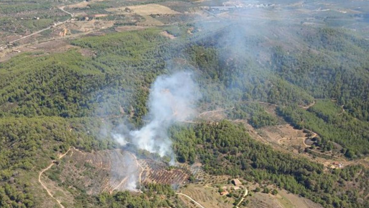 Imatge de l'incendi a Riudecanyes.