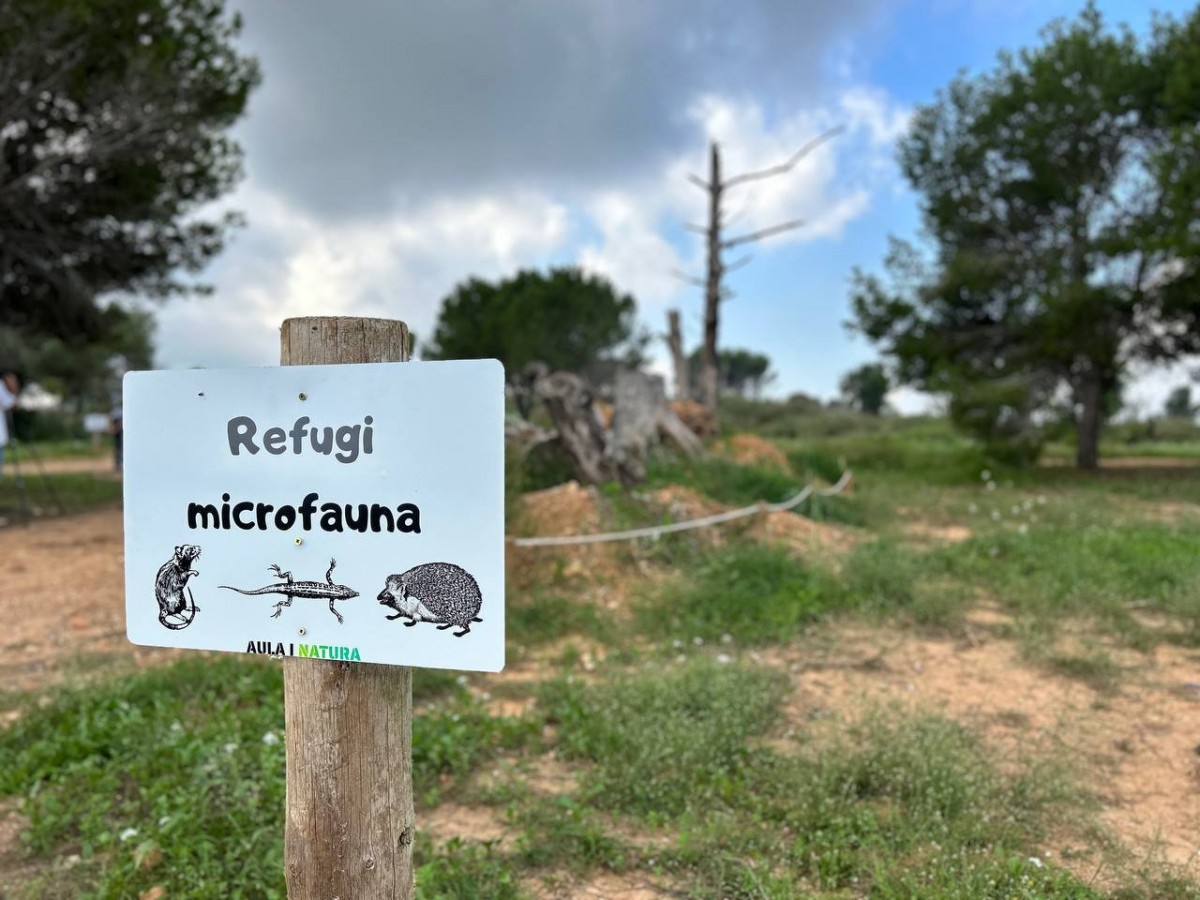 El Parc del Mussol vol afavorir la recuperació de la biodiversitat a Amposta 
