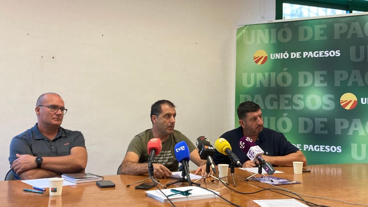 D'esquerra a dreta, Josep Maria Barrull, membre de la sectorial de l’Oli del sindicat; Jordi Pascual, responsable d’Oli d’Unió de Pagesos; i Miquel Piñol, responsable de Sectors Agrícoles d’Unió de Pagesos