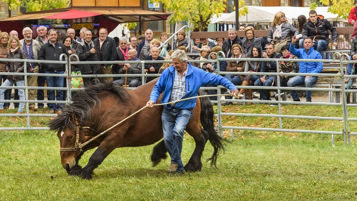 Un ramader menant un cavall en una edició anterior de la fira