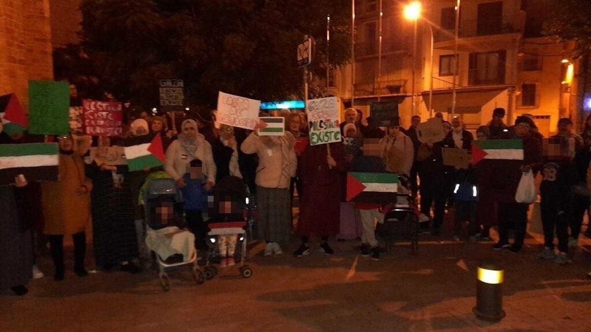 Imatge dels manifestants amb banderes palestines