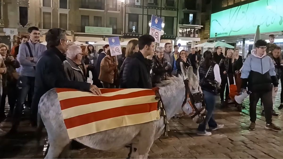 Imatge del ruquet entre els ciutadans i ciutadanes que es van manifestar a la plaça del Mercadal de Reus