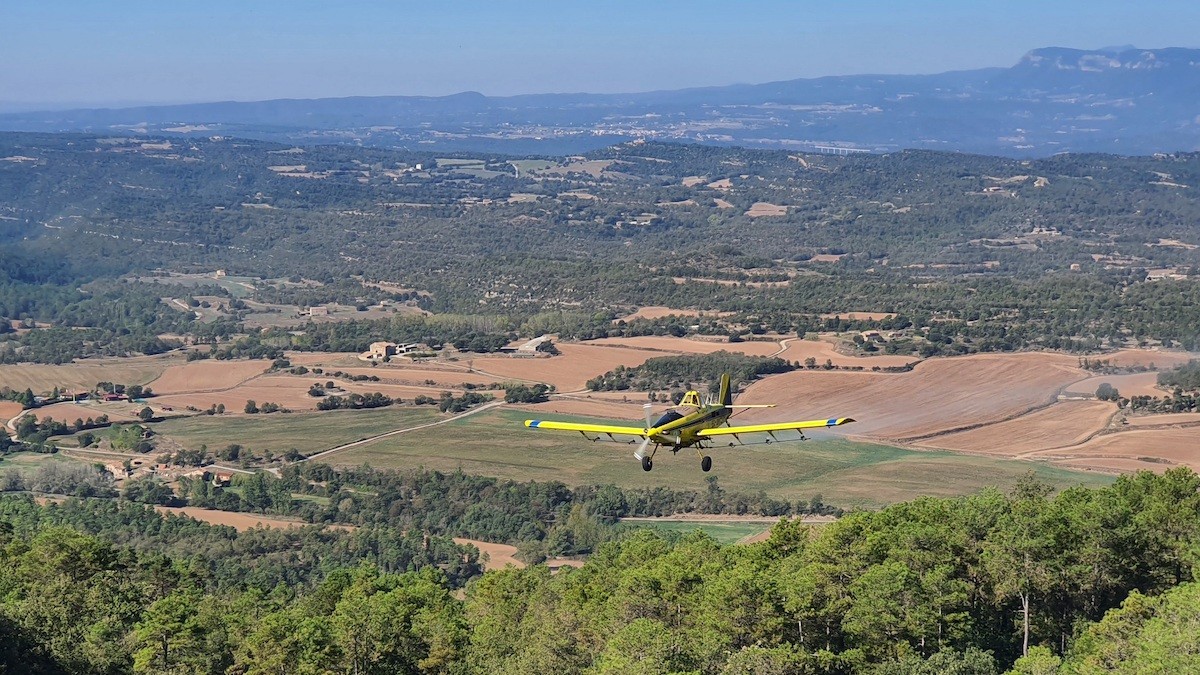 Una avioneta efectuant el tractament de la processionària en boscos catalans