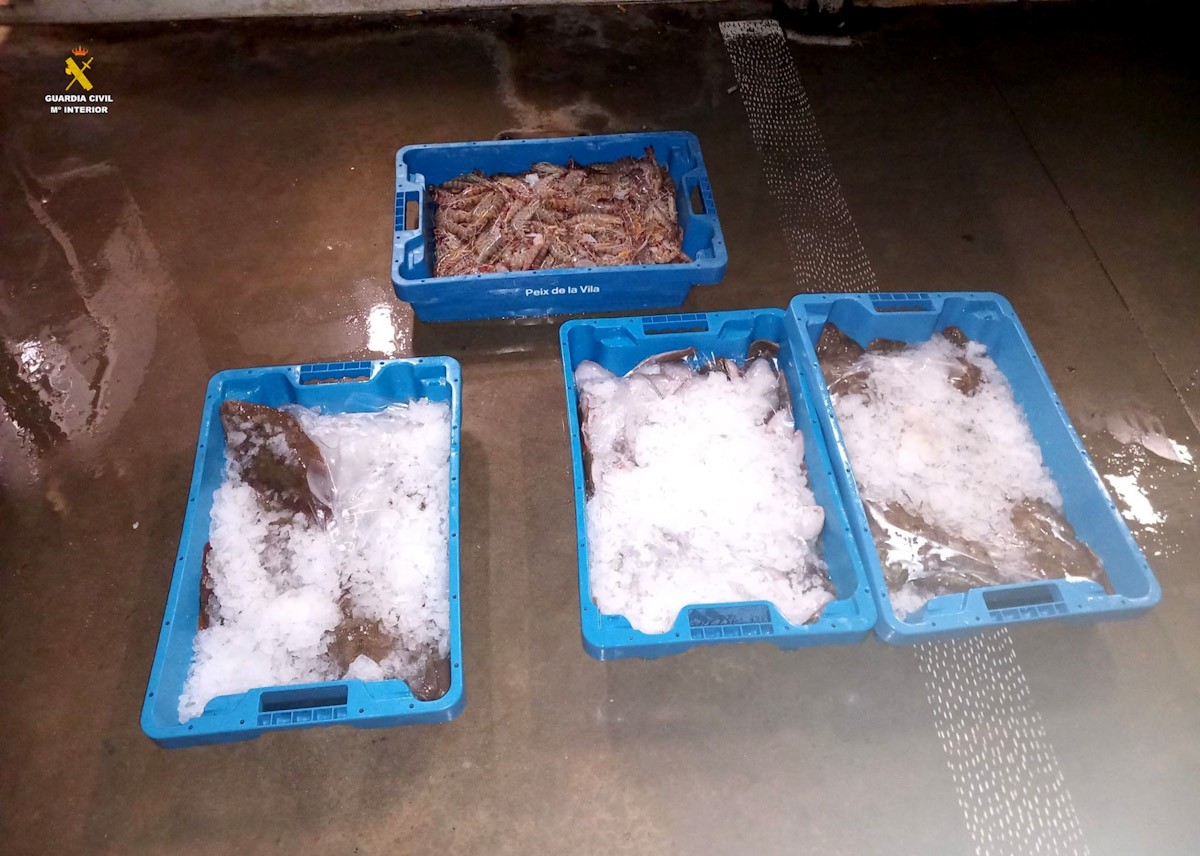 Caixes de peix sense documentació intervingudes per la Guàrdia Civil a la Ràpita  