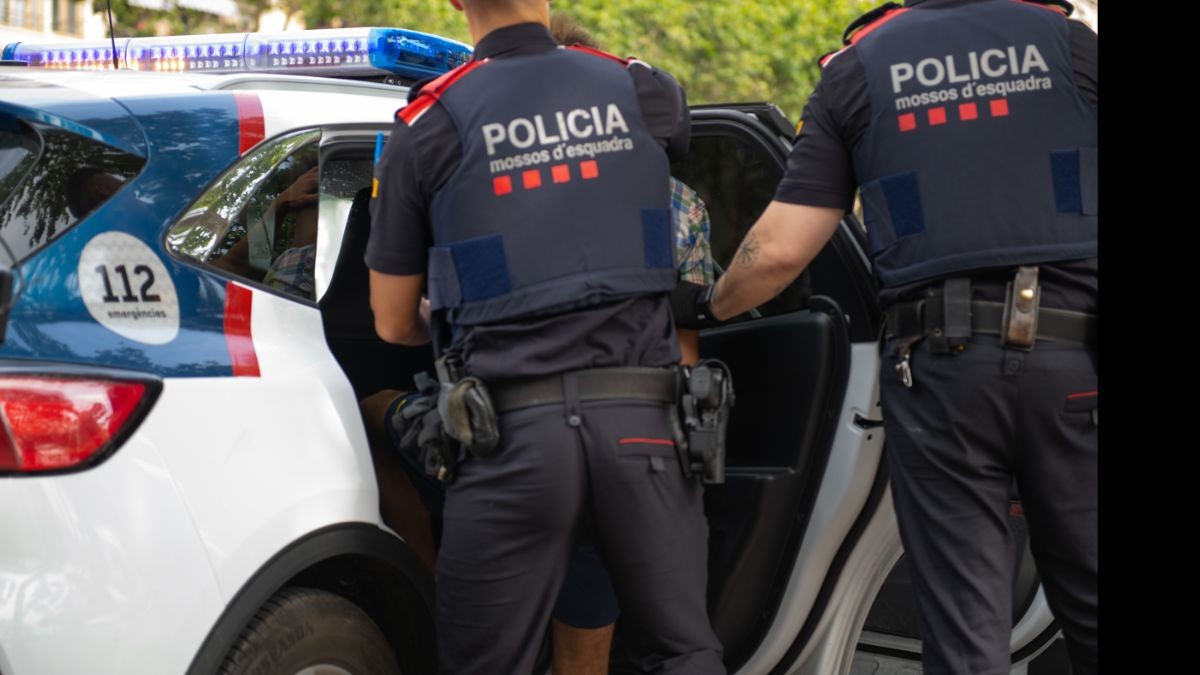 Els mossos van fer diverses identificacions i detencions.