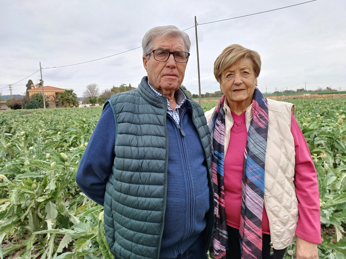José Antonio Marzá Roca i Maria Caldés Foix, agricultors, homenatjats a la propera edició de la Festa de la Carxofa de Benicarló 