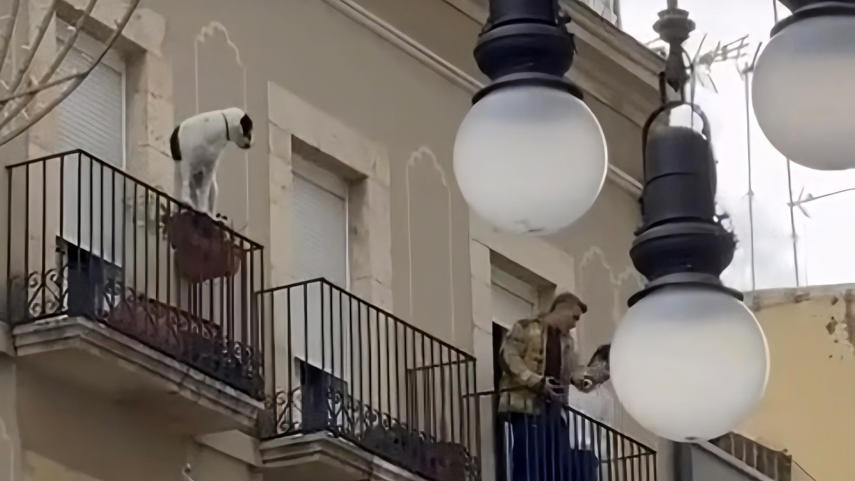 El gos rescatat ha pujat a la barana del balcó d'un tercer pis.
