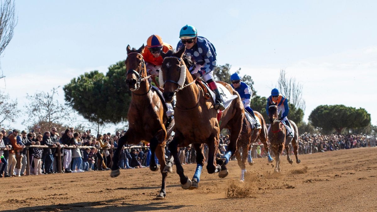 Els cavalls van tornar a competir a Vila-seca.