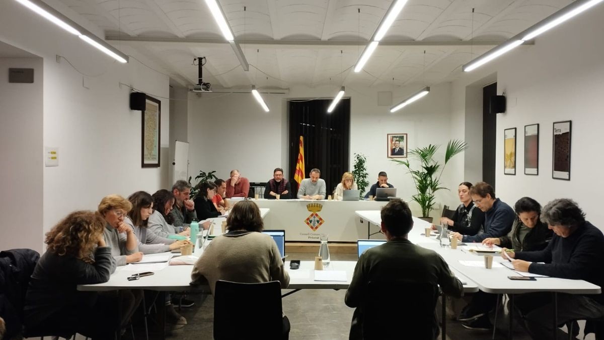 El ple del consell es va mostrar favorable a la proposta de la Generalitat.