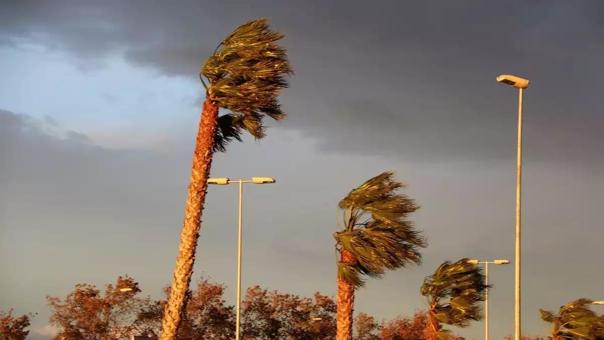 Reus ha activat el pla especial d'emergències per risc de vent davant les previsions del Meteocat