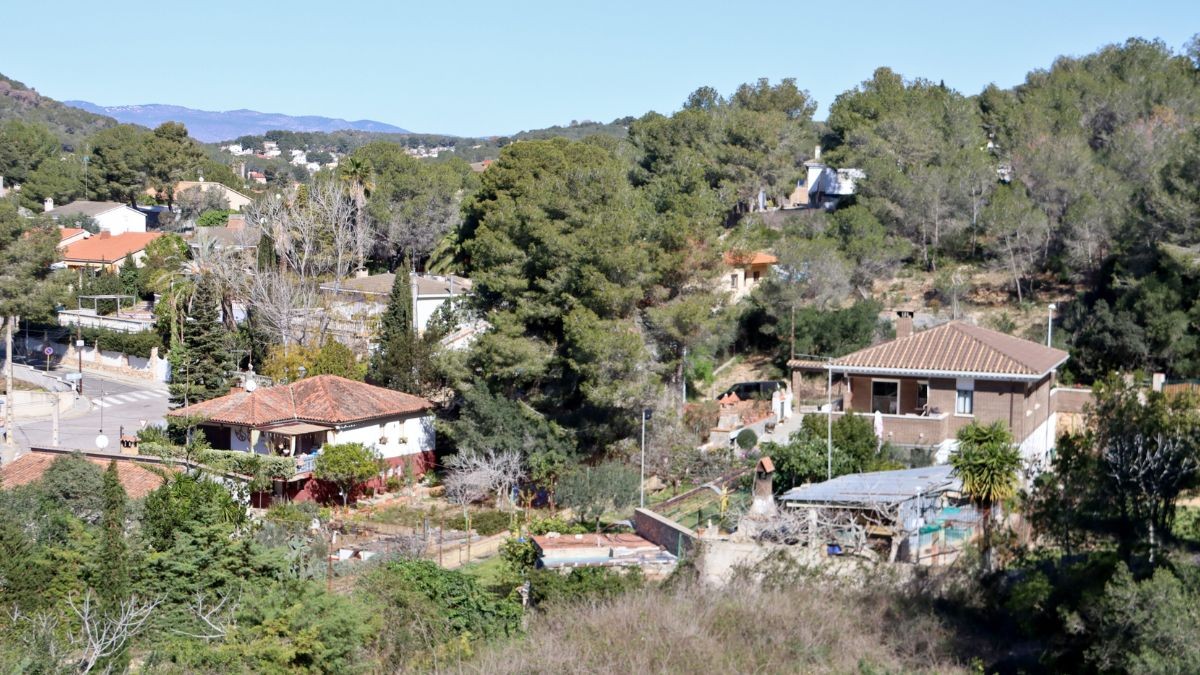 Imatge de l'entorn de la urbanització Mas Romeu de Calafell, sense neteja de la massa forestal.