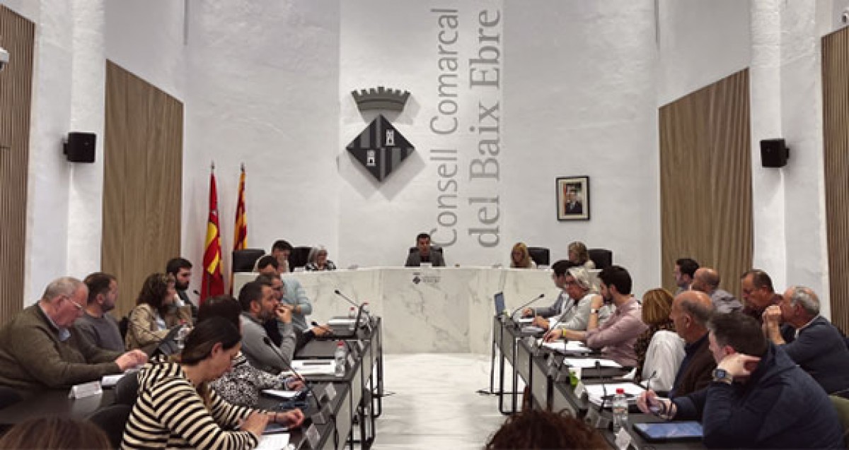 Ple del consell comarcal del Baix Ebre, divendres passat.