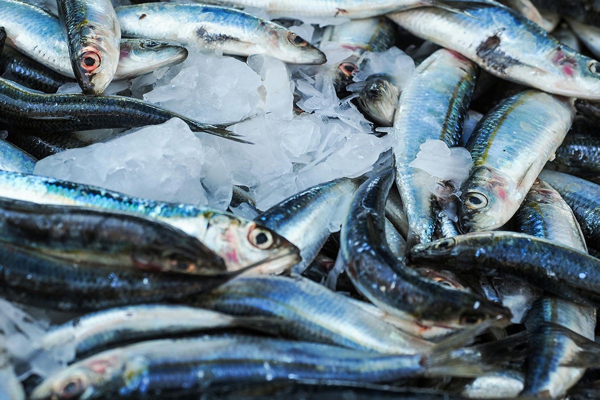 Els peixos més segurs del mercat per a infants i embarassades