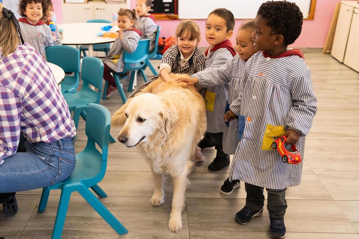 El gos que fa horari de professor, acompanya l'adaptació d'I3 i té més de 500 amics i amigues