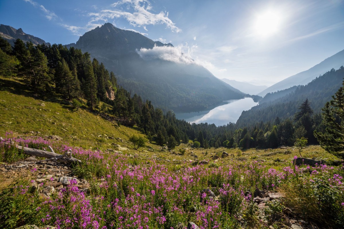 Imatge il·lustrativa