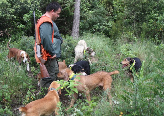 Imatge d'un caçador amb els seus gossos