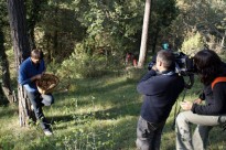«Espai Terra» de TV3, a la recerca de bolets a Sant Boi de Lluçanès