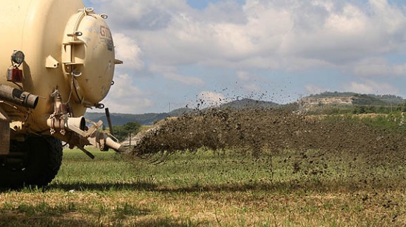 Agricultura vol assegurar la qualitat dels sòls i de les aigües subterrànies del país