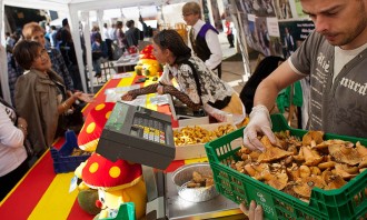 La Festa del Bolet de Seva prepara unes 2.500 tapetes gastronòmiques