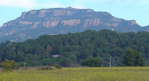 Amb 1.104 metres, la Mola és la muntanya més alta del Vallès Occidental.