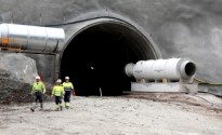 Vés a: Sense horitzó per a la restauració dels runams salins