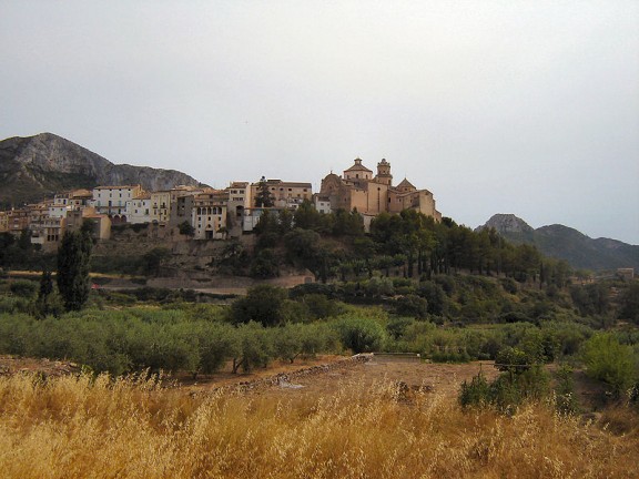Vista de la població de Tivissa, a la Ribera d'Ebre