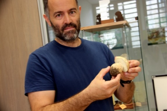 L'expert en micologia, Juan Martínez