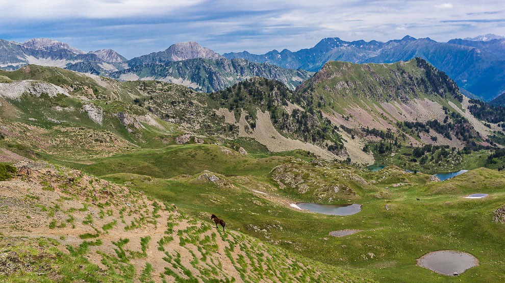 Paisatge Valls d'Àneu