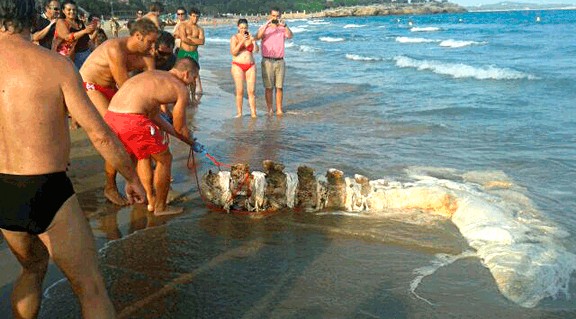 Troben Una Cua De Balena A La Platja De L Arrabassada Naciotarragona