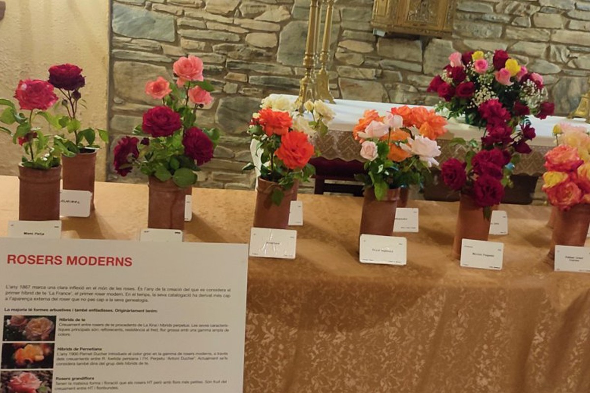 L'església de Sant Julià de Montseny acull una mostra de 74 varietats de  roses
